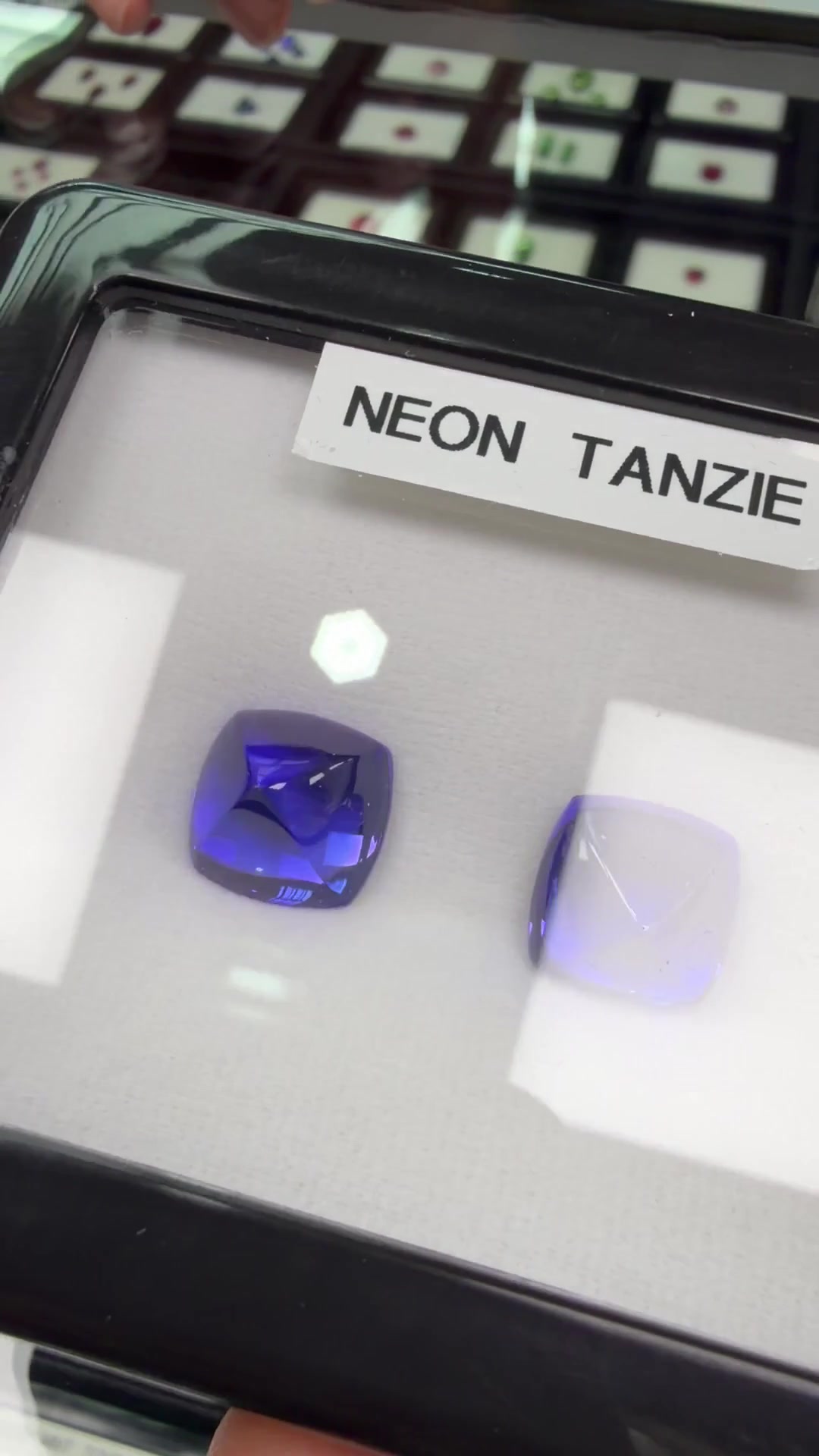 Zwei Neon-Tansanit-Cabochons